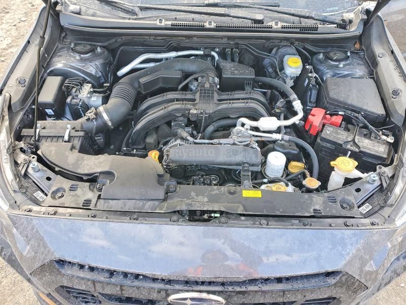 Subaru wilderness — миниатюра 5