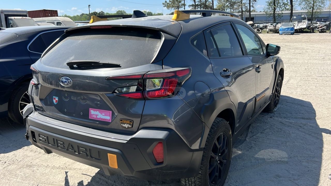 Subaru wilderness — миниатюра 8