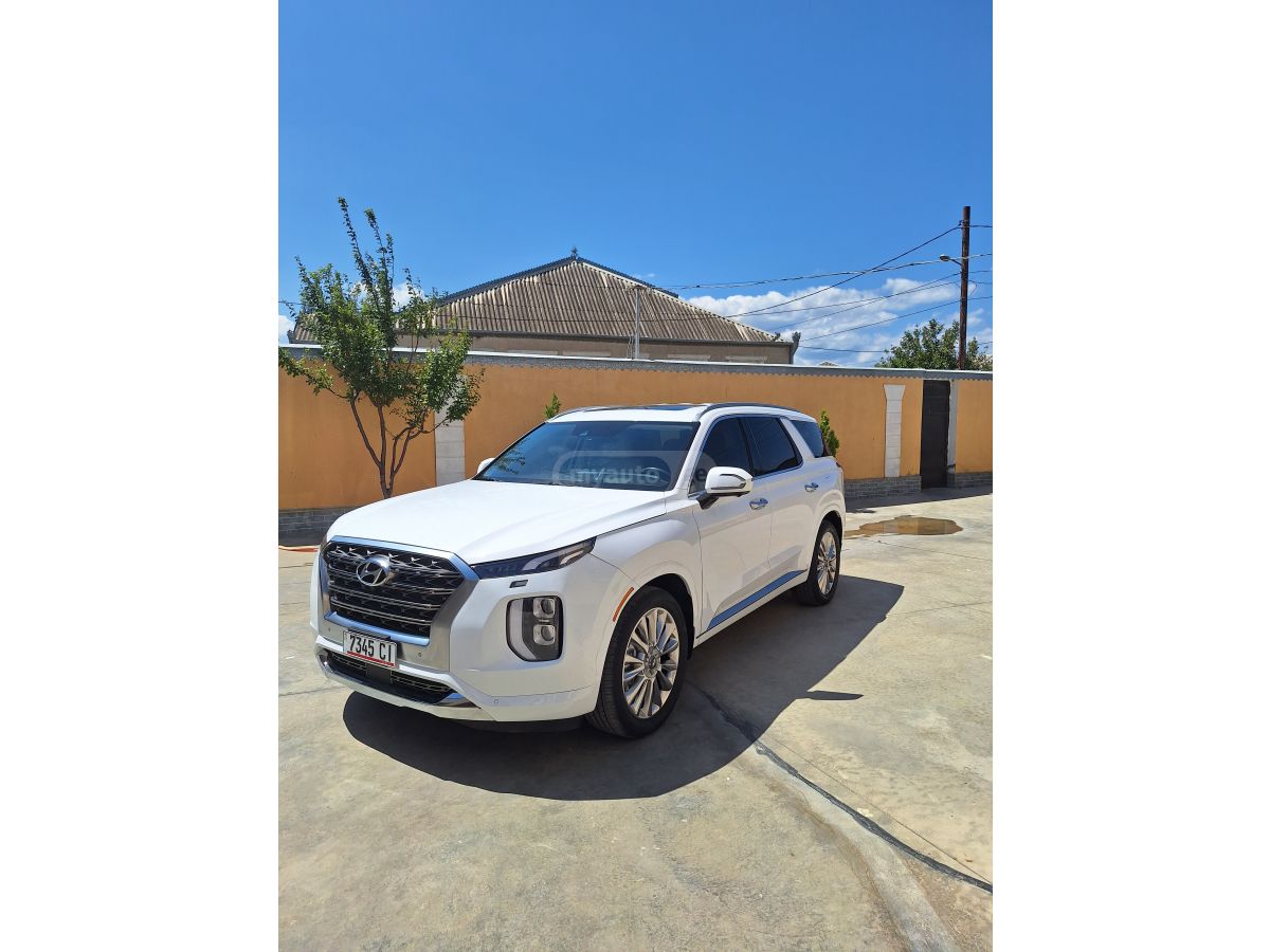 Hyundai Palisade - фото 2