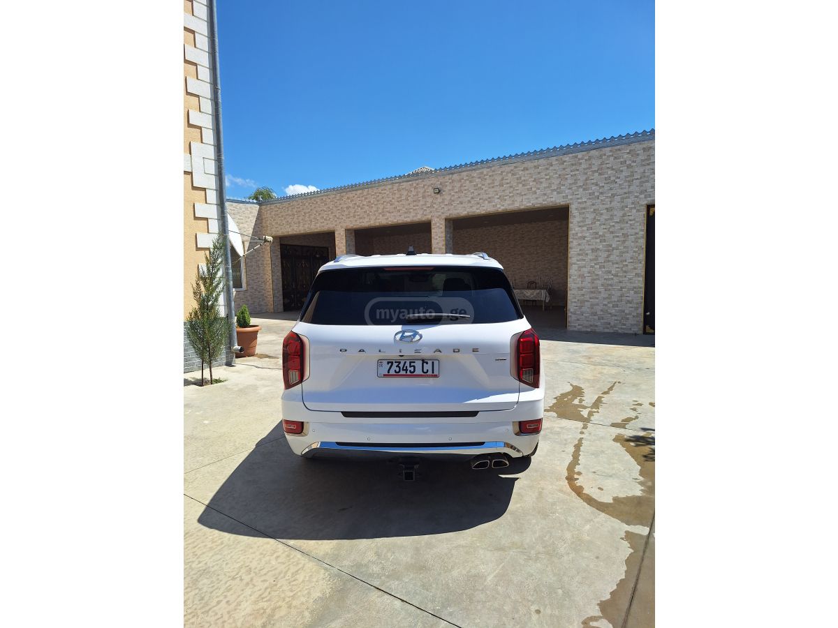 Hyundai Palisade - фото 6