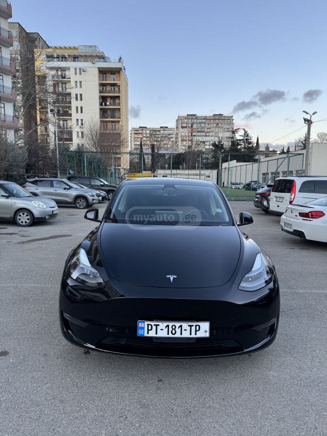 Tesla Performance — миниатюра 1