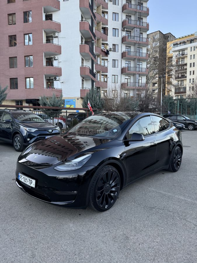Tesla Performance — миниатюра 2