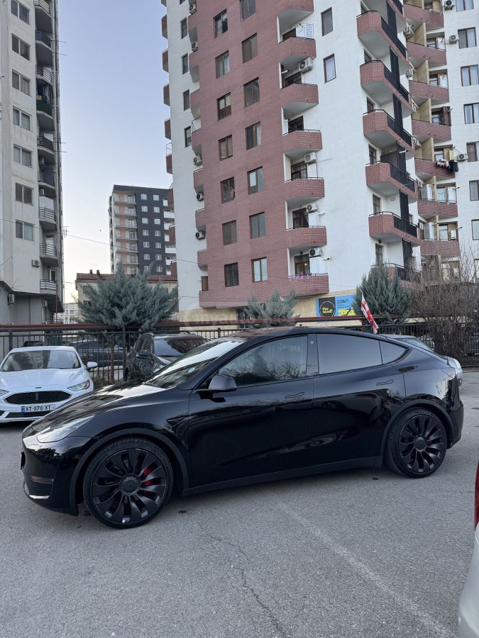 Tesla Performance — миниатюра 3