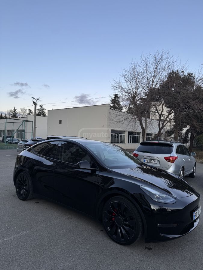 Tesla Performance — миниатюра 5