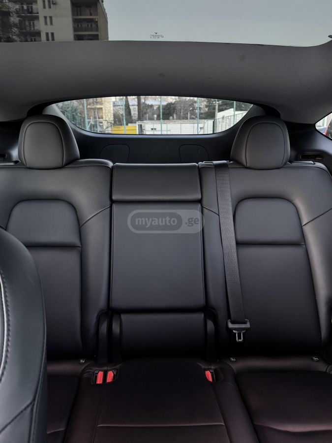 Tesla Performance — миниатюра 7