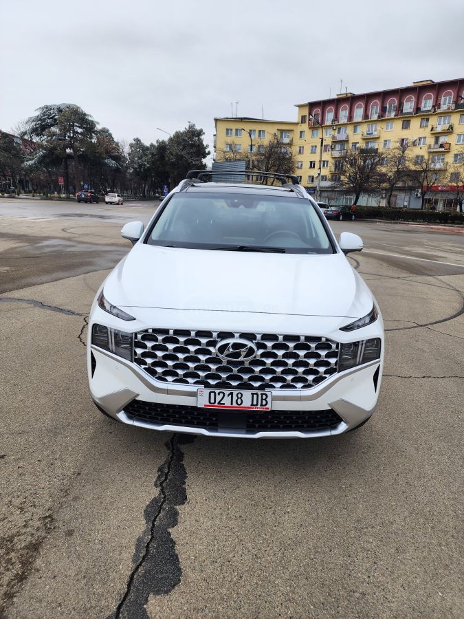 Hyundai Limited 4dr All-Wheel Drive Au