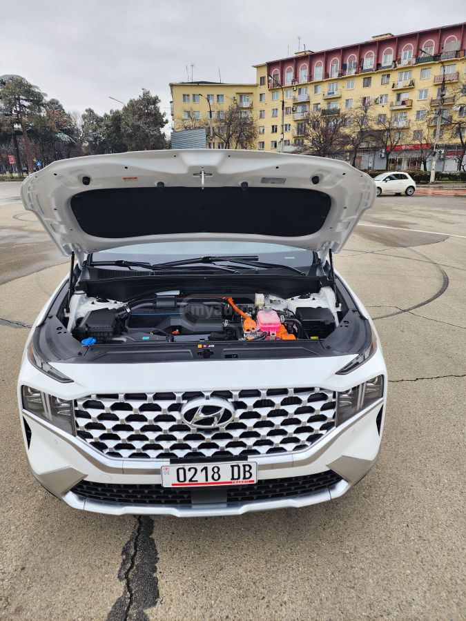 Hyundai Limited 4dr All-Wheel Drive Au — миниатюра 9