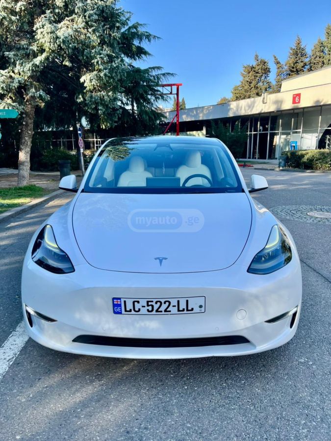 Tesla Model Y - фото 1