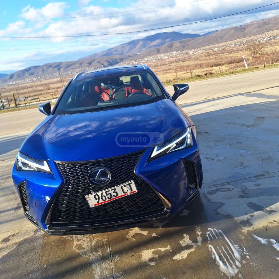 Lexus UX 250 h - фото 7