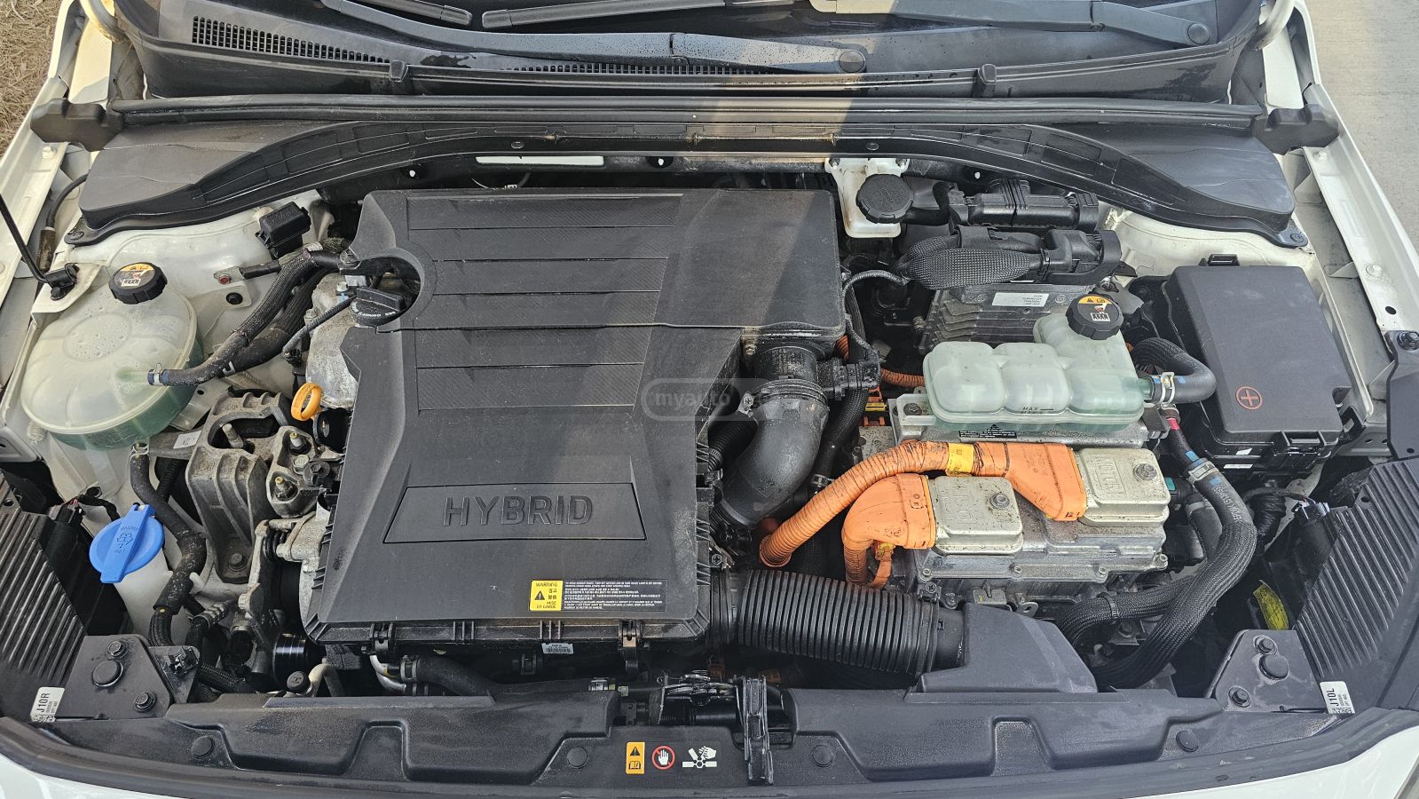 Hyundai Ioniq - фото 8