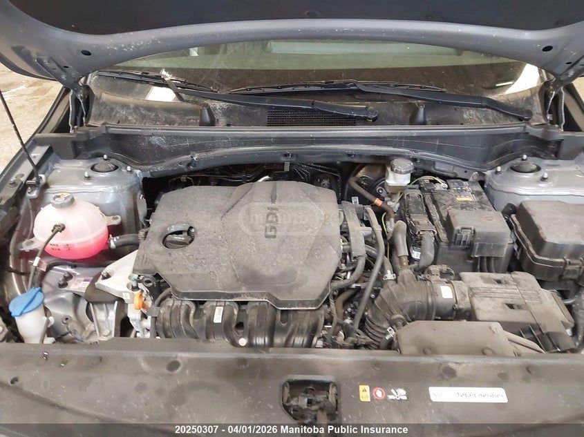 Kia Sportage - фото 10