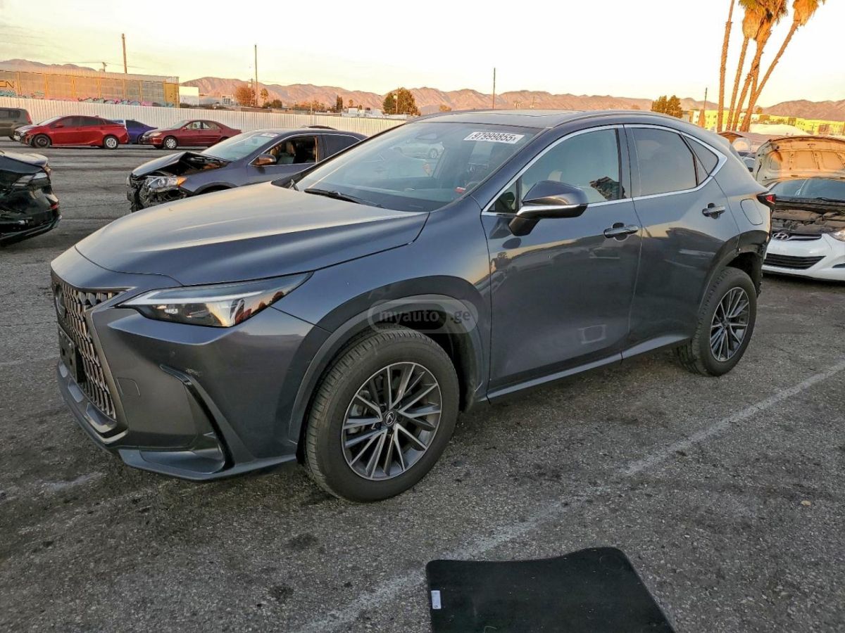 Lexus NX 450 2024 — миниатюра 1