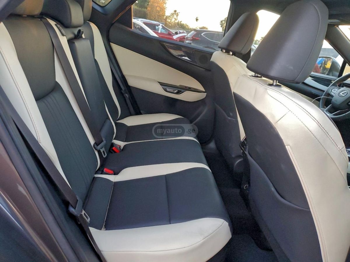 Lexus NX 450 2024 — миниатюра 11