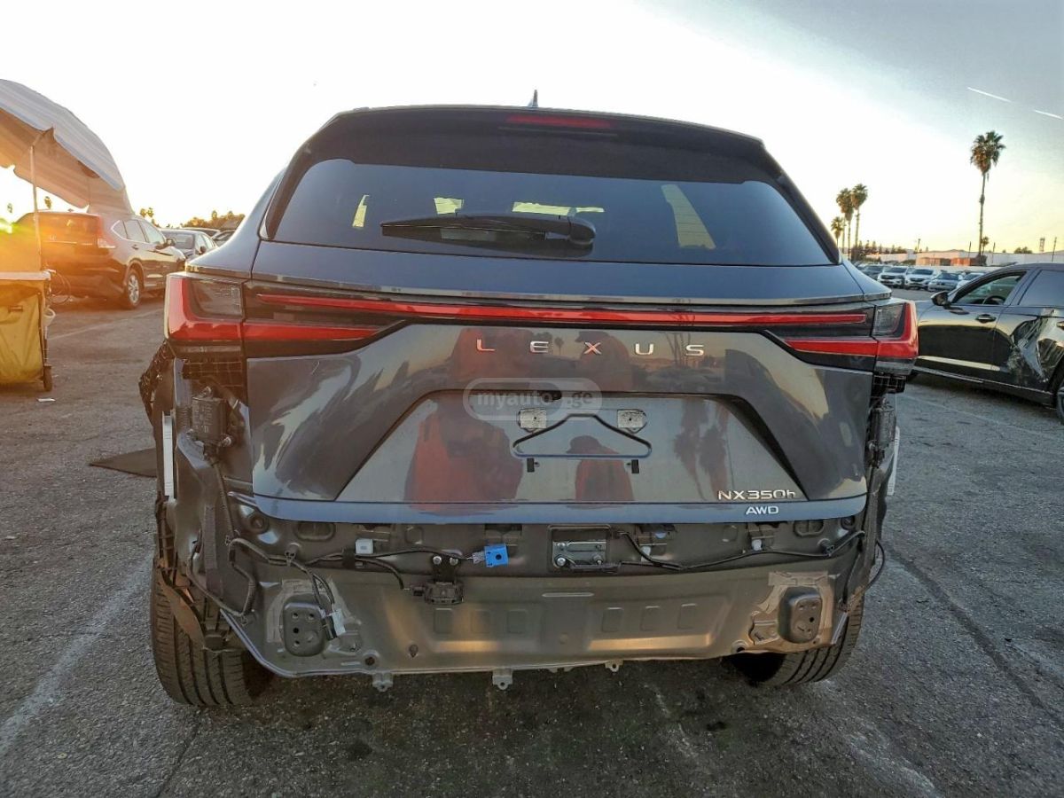 Lexus NX 450 2024 — миниатюра 3