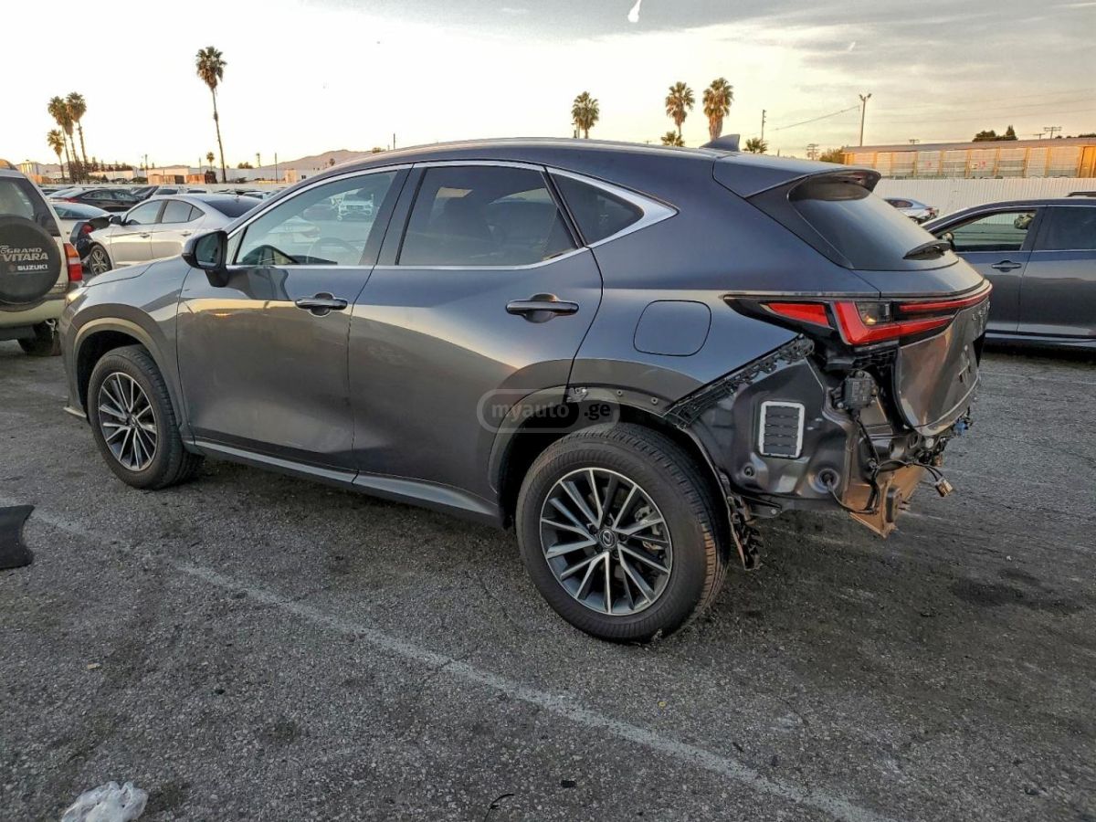Lexus NX 450 2024 — миниатюра 5