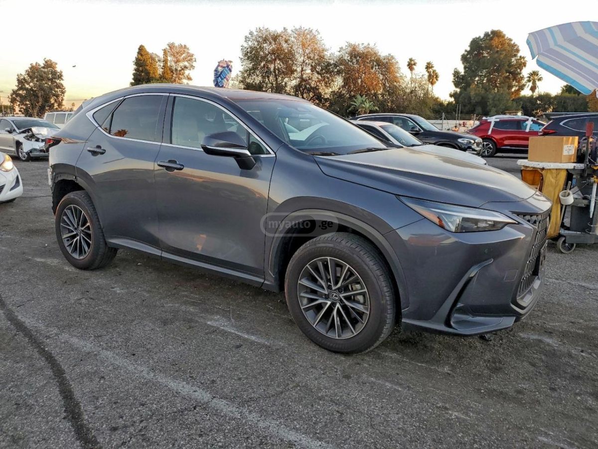 Lexus NX 450 2024 — миниатюра 6