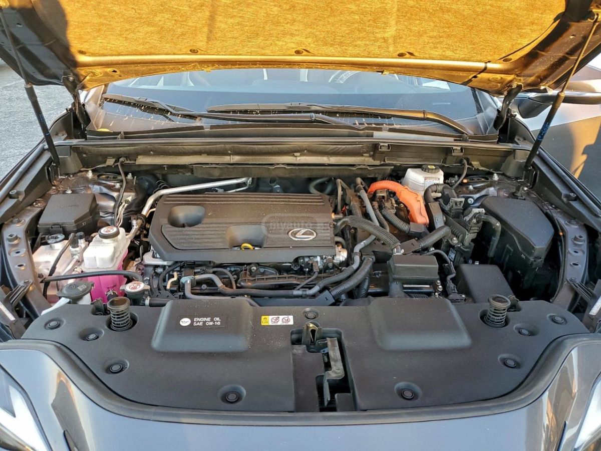 Lexus NX 450 2024 — миниатюра 9