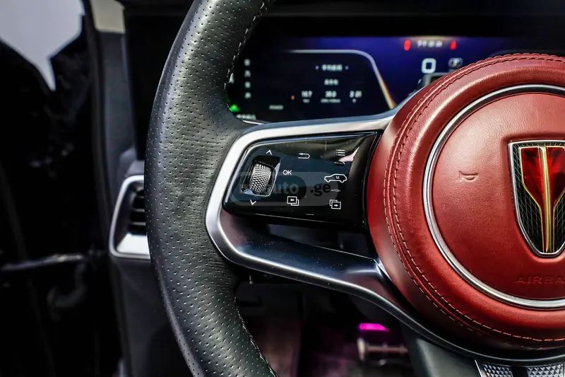 Hongqi E-HS9 - фото 10