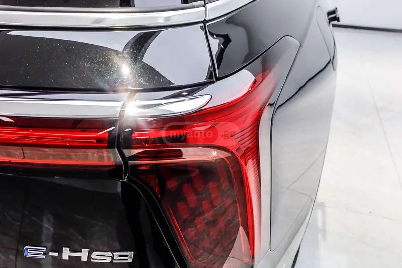 Hongqi E-HS9 - фото 7