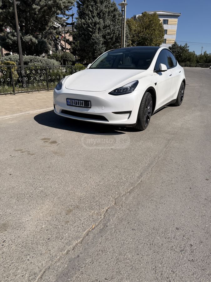 Tesla Model Y - фото 1