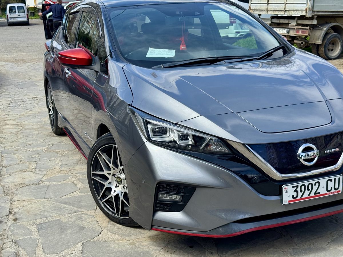 Nissan Leaf - фото 1