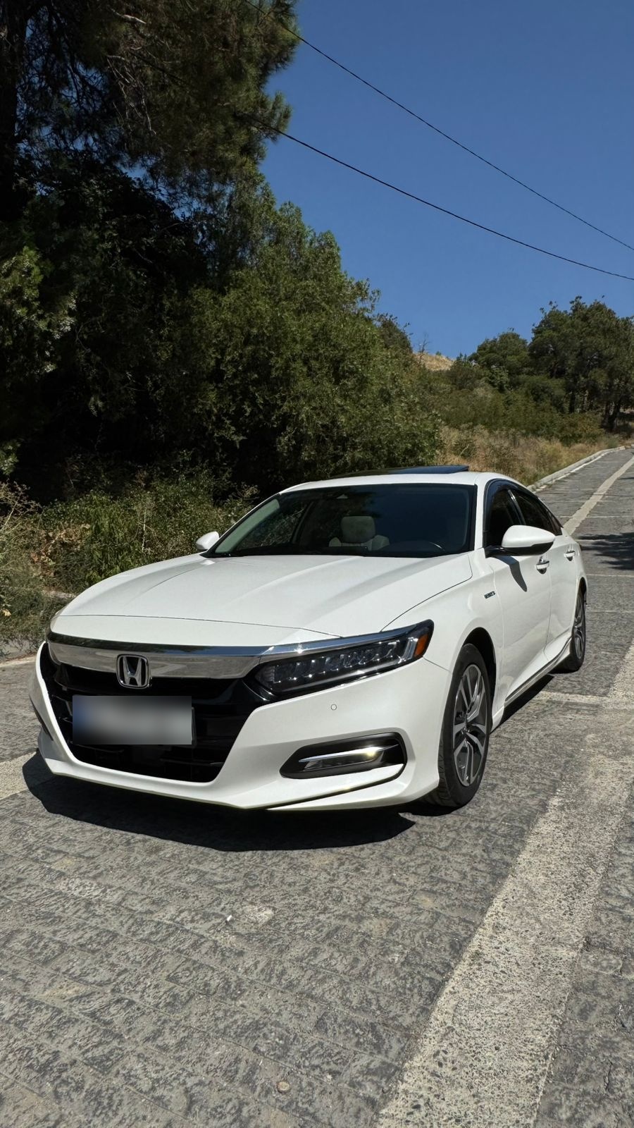 Honda Accord - фото 1