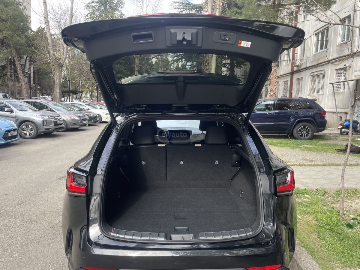 Lexus Luxury — миниатюра 11