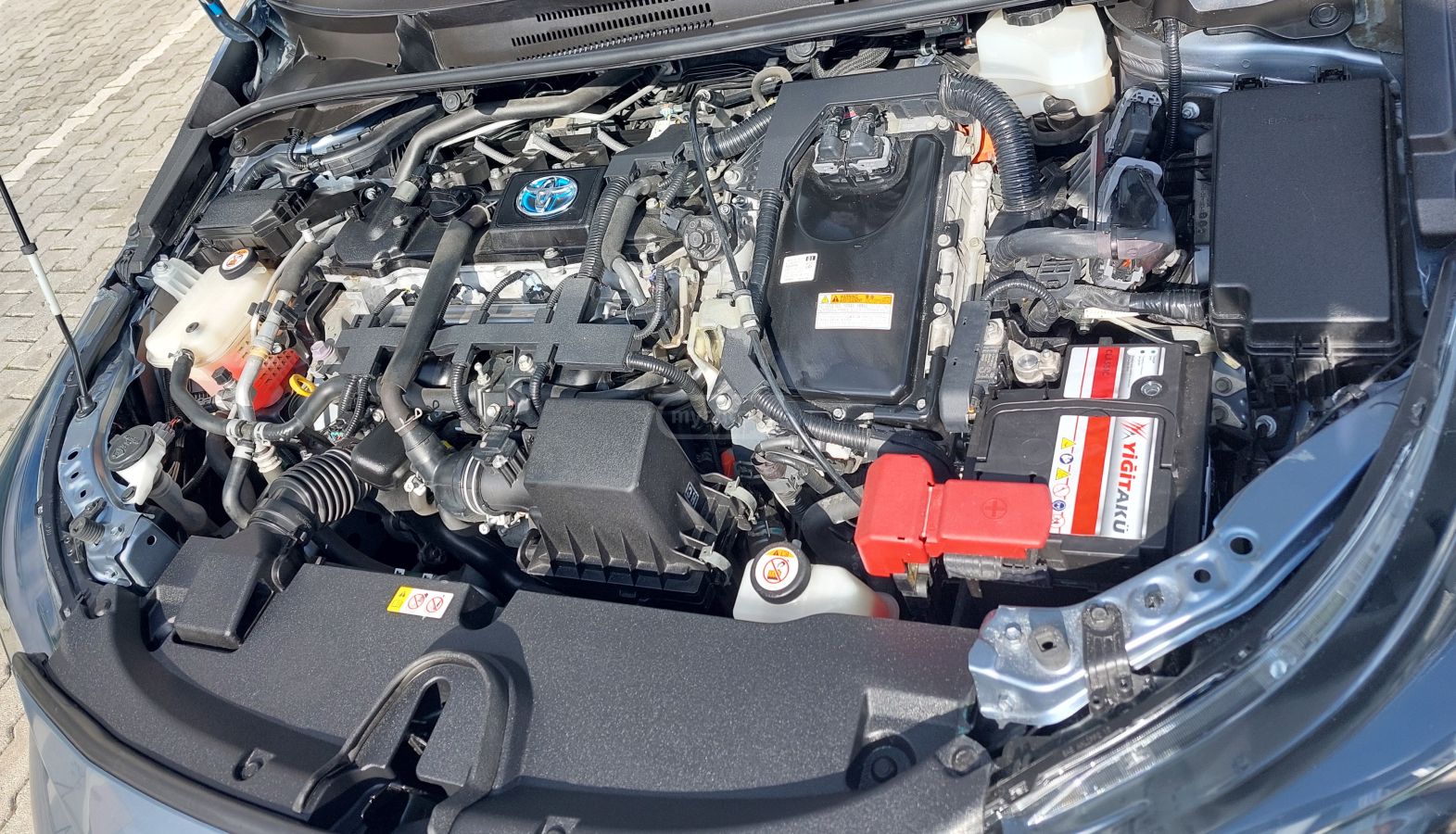 Toyota Corolla - фото 7