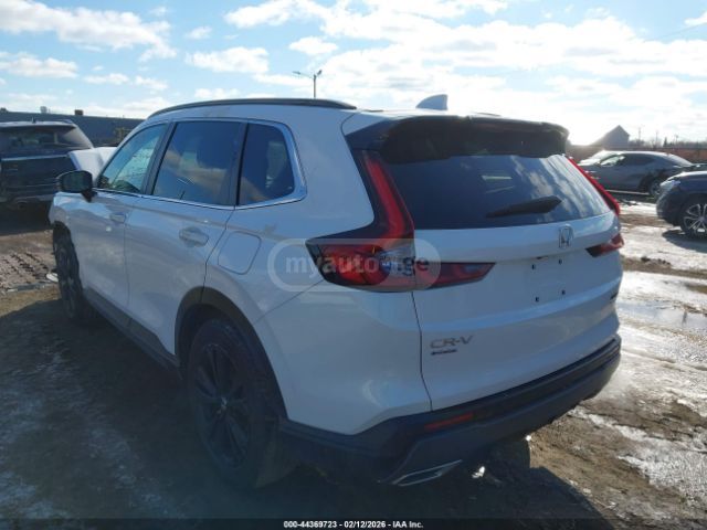 Honda CR-V EX-L 4dr All-Wheel Drive CVT 2025 — миниатюра 1