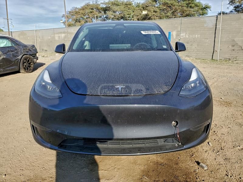 Tesla Model Y - фото 1