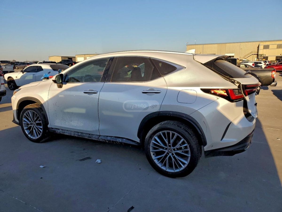 Lexus NX 200 2025 — миниатюра 2