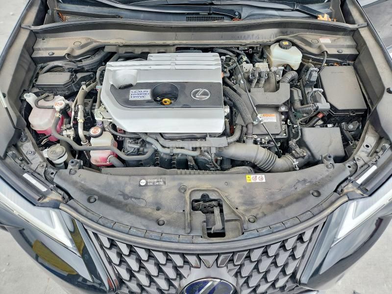 Lexus UX 250 h - фото 12