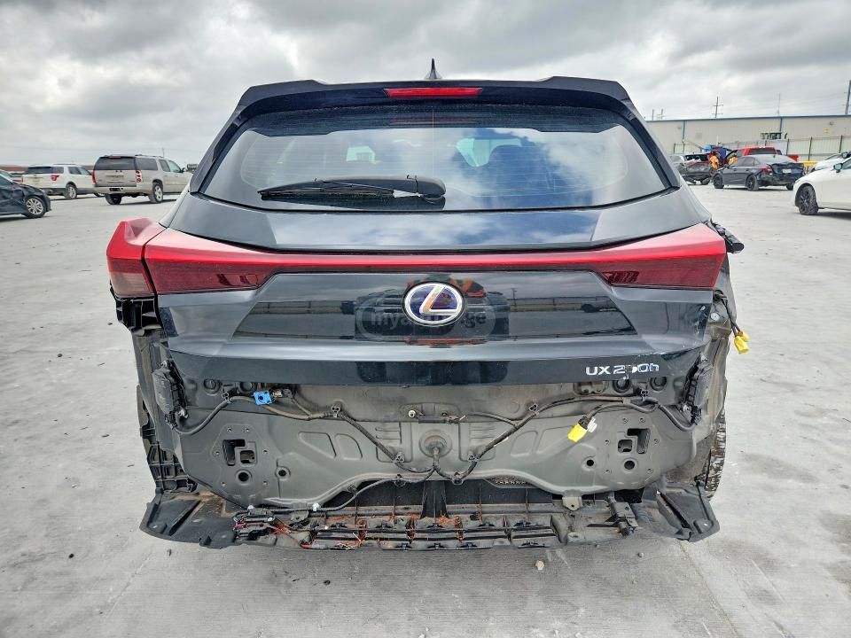 Lexus UX 250 h - фото 6