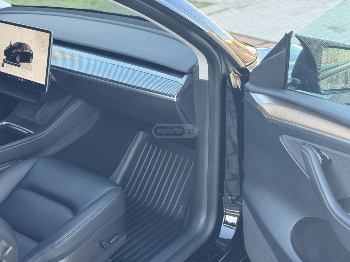 Tesla Preformance long reinj dual mo — миниатюра 10