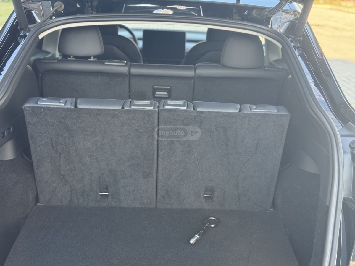 Tesla Preformance long reinj dual mo — миниатюра 12