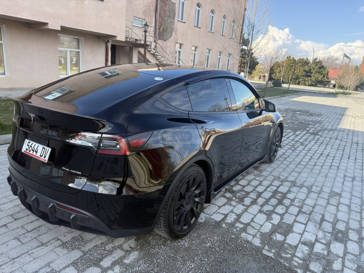 Tesla Preformance long reinj dual mo — миниатюра 3