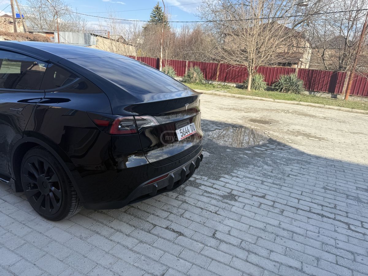 Tesla Preformance long reinj dual mo — миниатюра 5