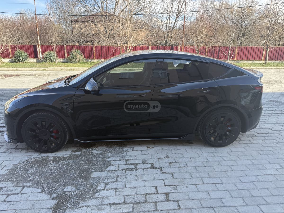 Tesla Preformance long reinj dual mo — миниатюра 6