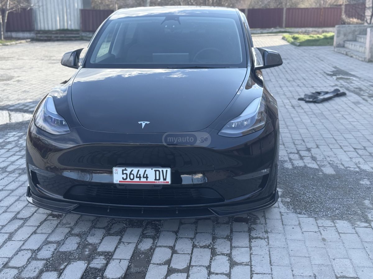 Tesla Preformance long reinj dual mo — миниатюра 8