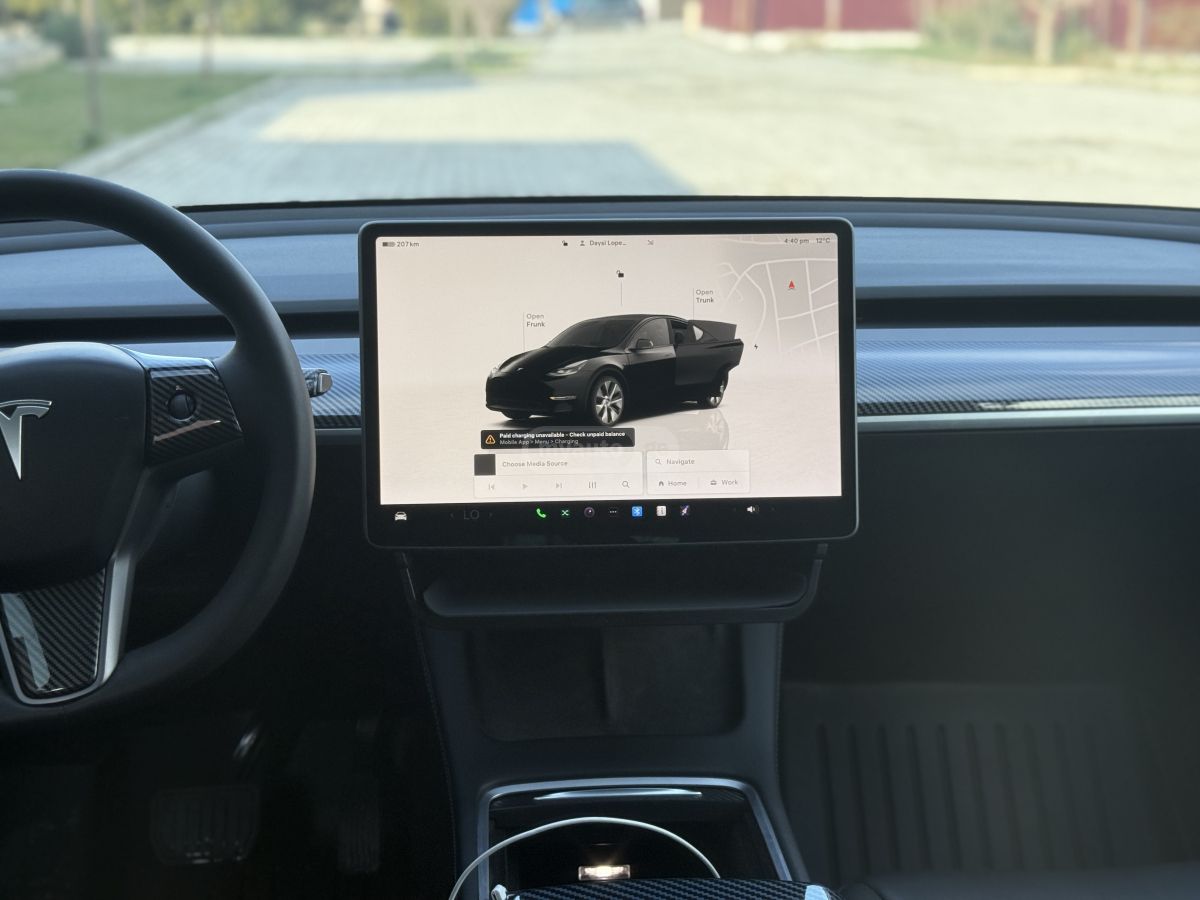 Tesla Preformance long reinj dual mo — миниатюра 9