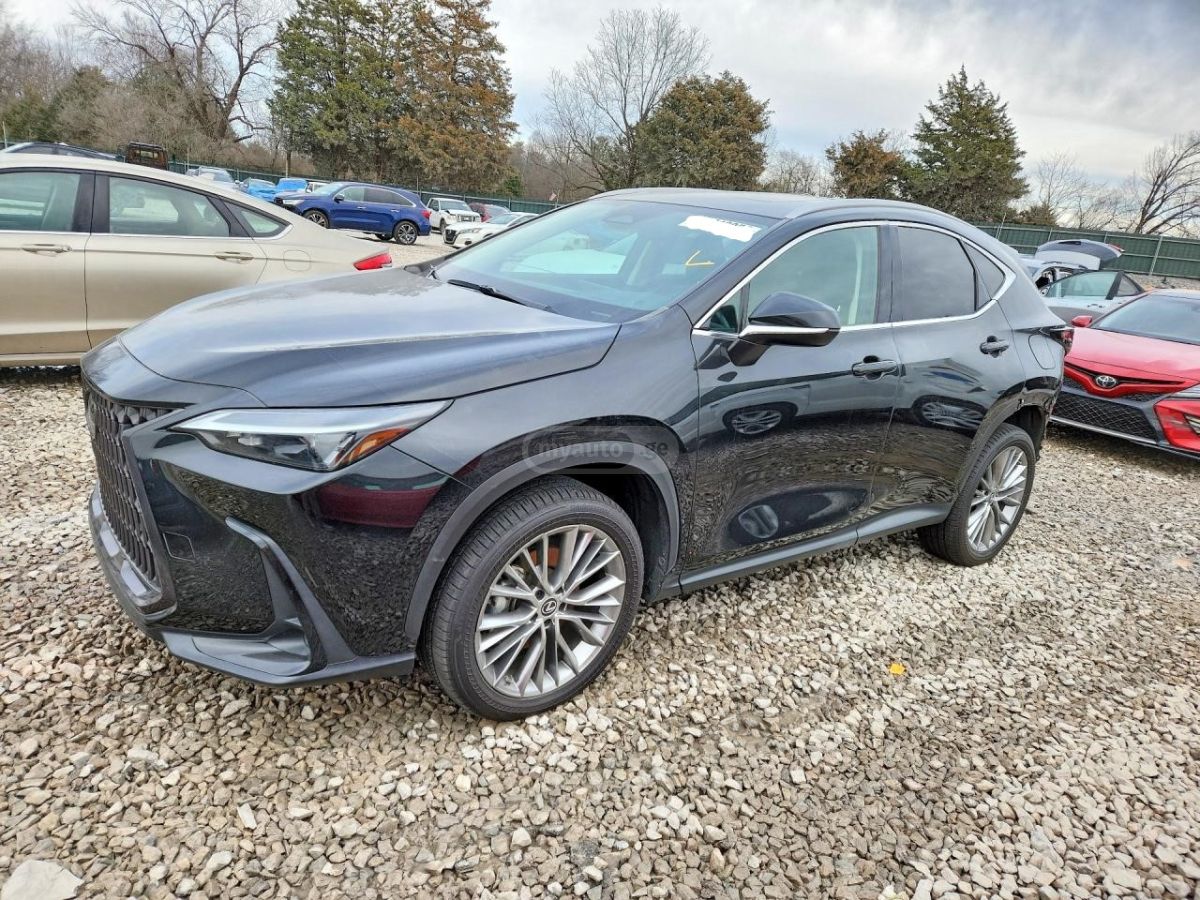Lexus NX 350 - фото 1