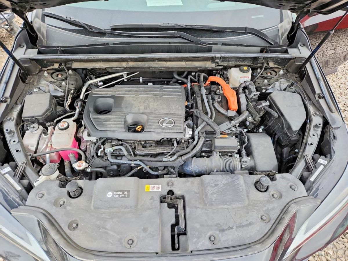 Lexus NX 350 - фото 11