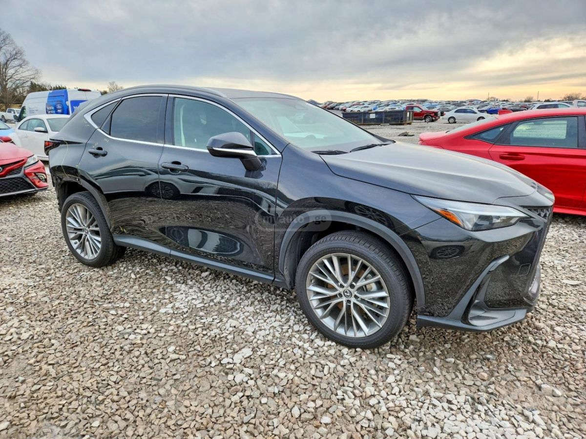Lexus NX 350 - фото 2