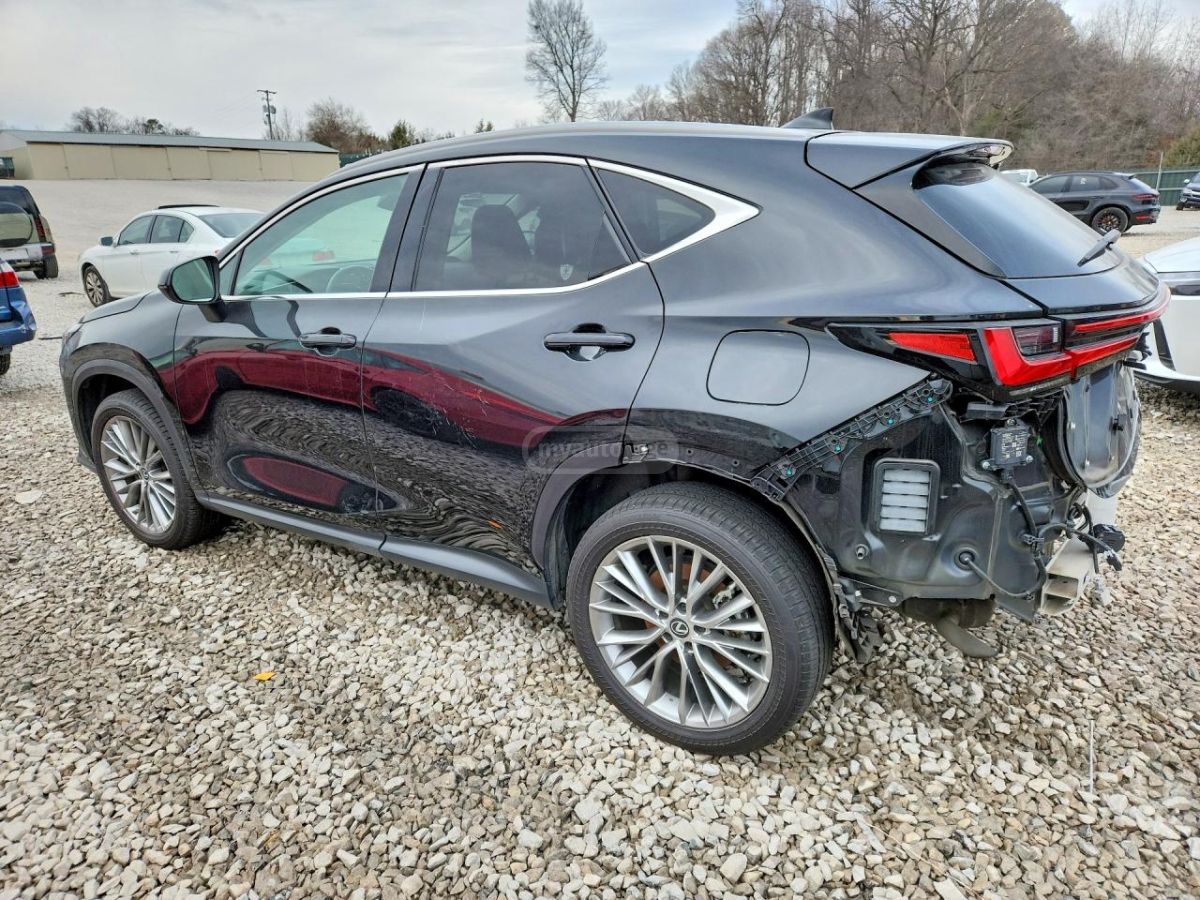 Lexus NX 350 - фото 3