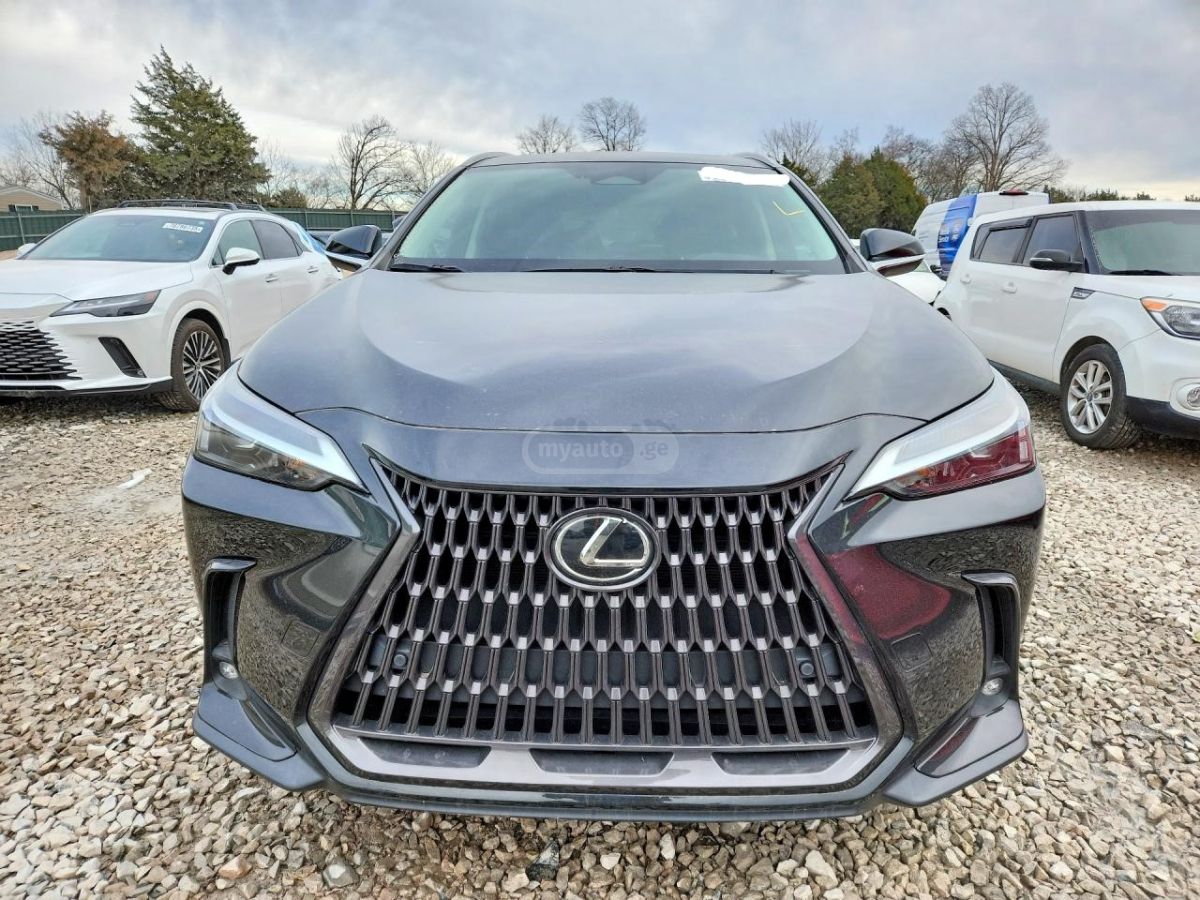 Lexus NX 350 - фото 5