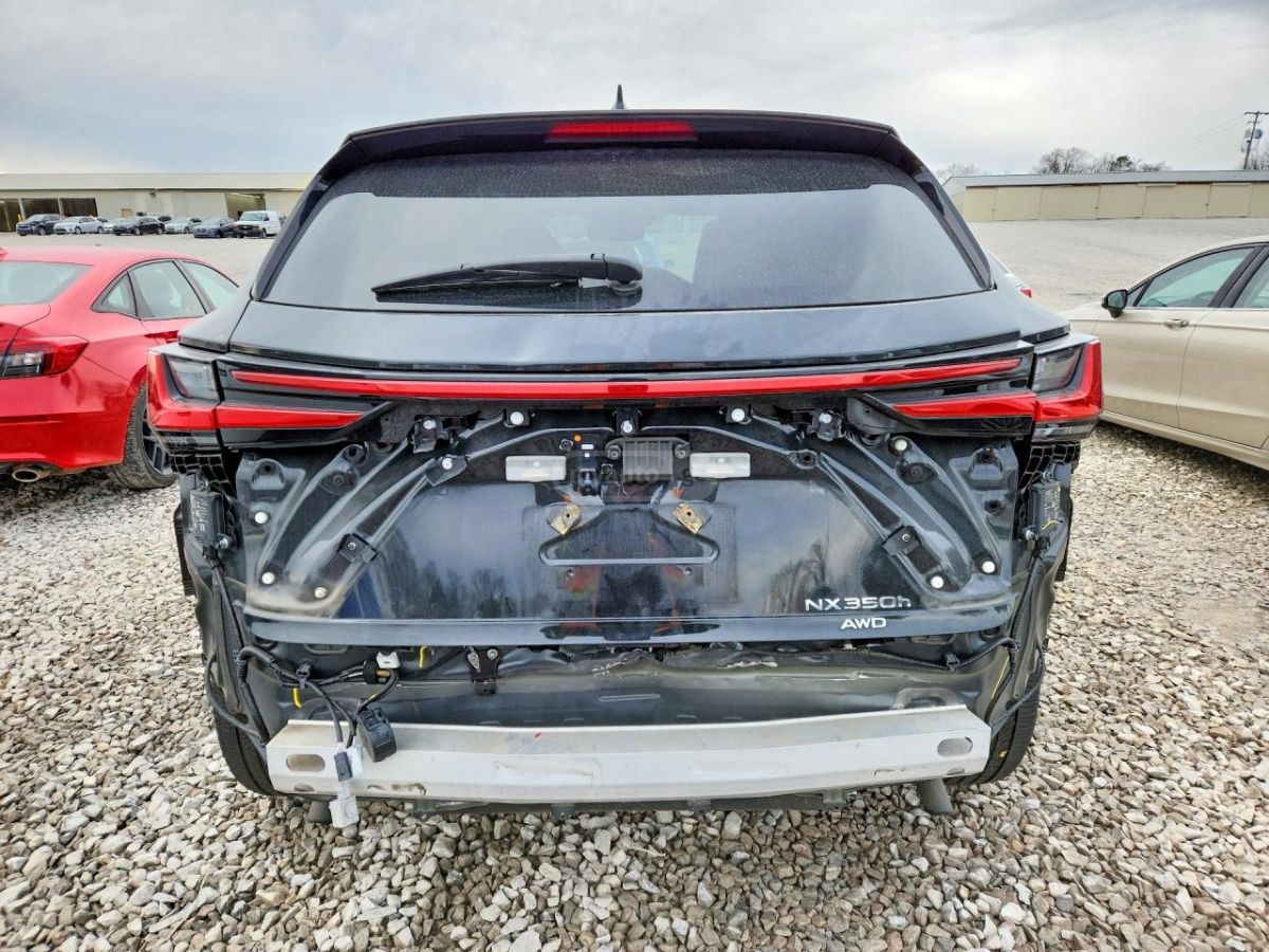 Lexus NX 350 - фото 6