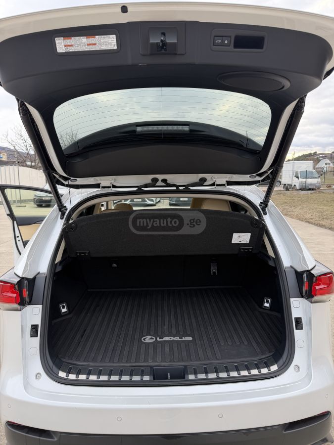 Lexus F SPORT Black Line 4dr All-Whe — миниатюра 13