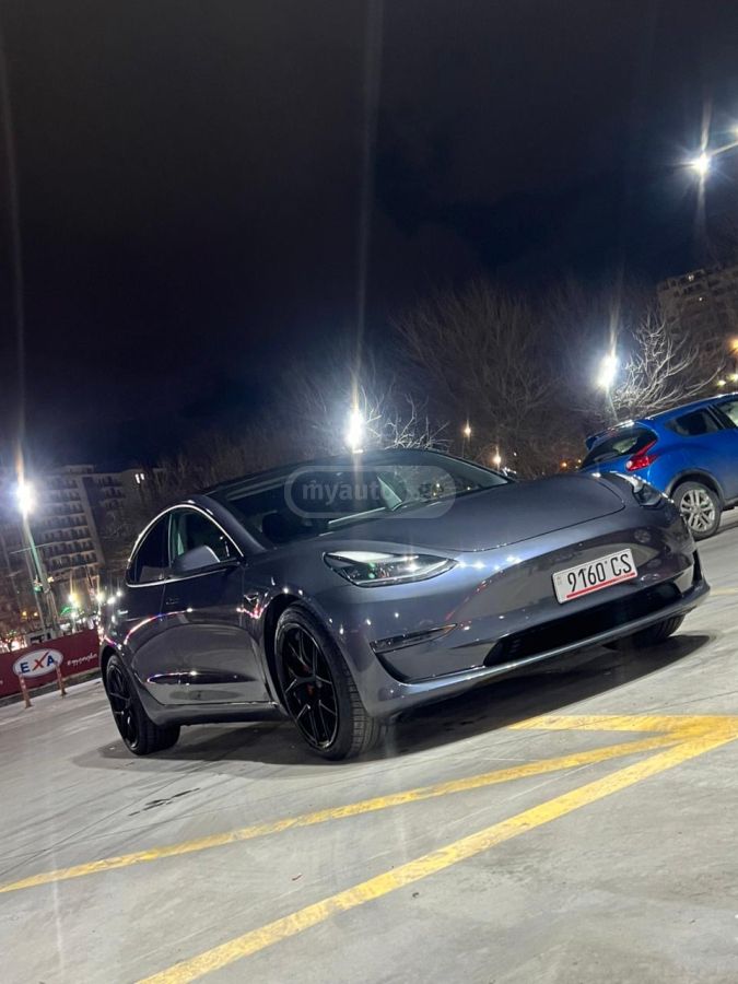 Tesla Performance — миниатюра 8
