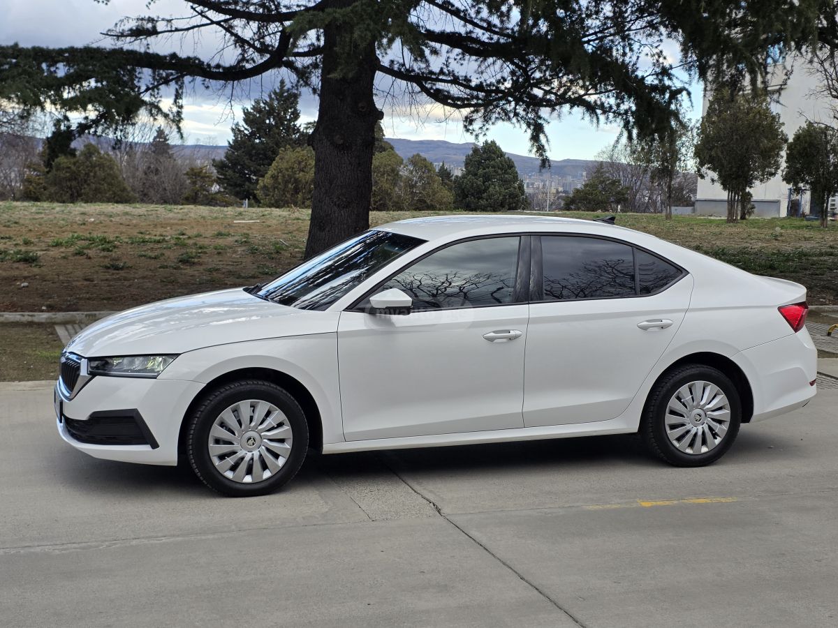 Skoda Octavia 2024 — миниатюра 1
