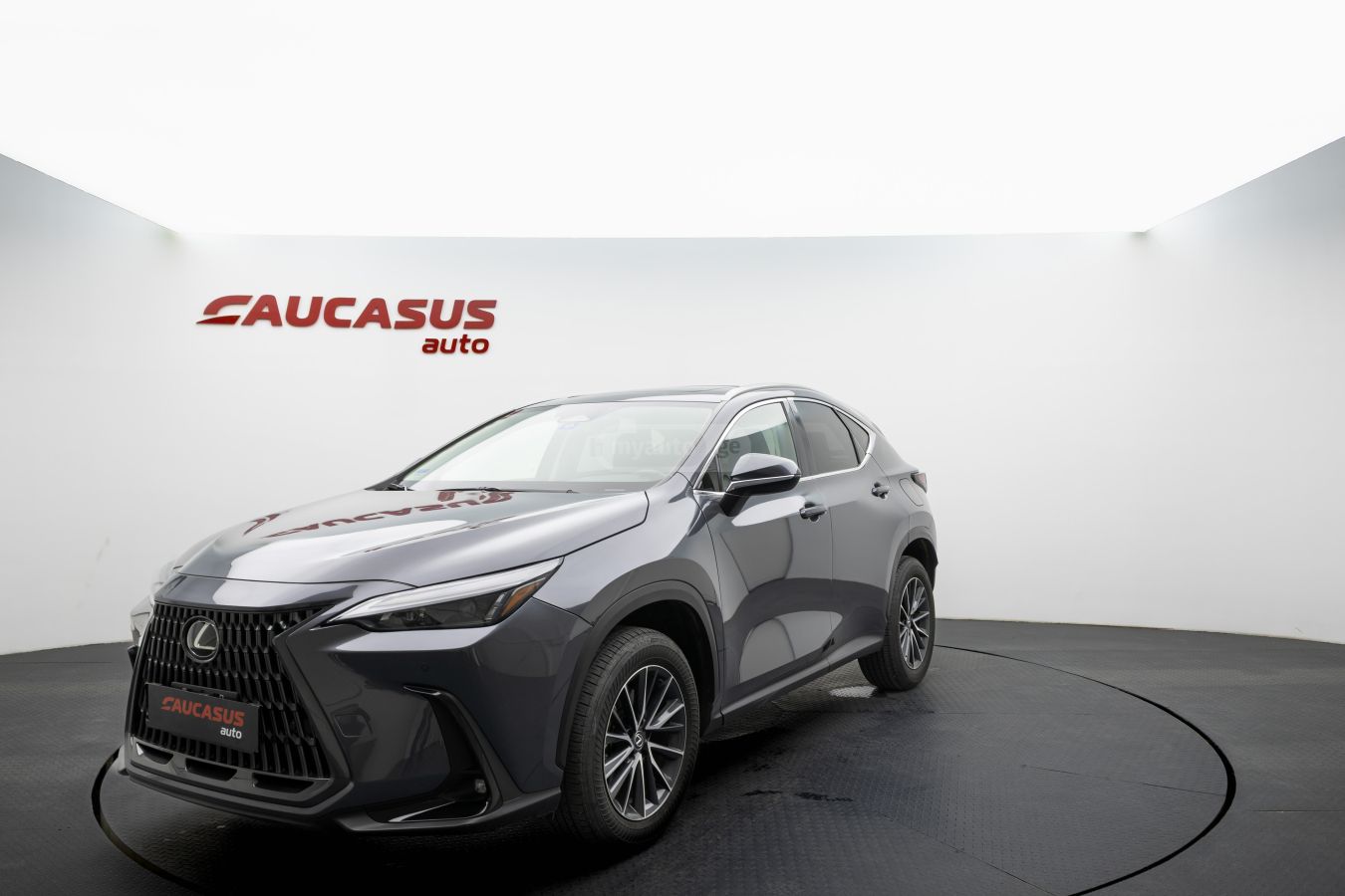 Lexus NX 200 Lexus NX 2025 — миниатюра 1